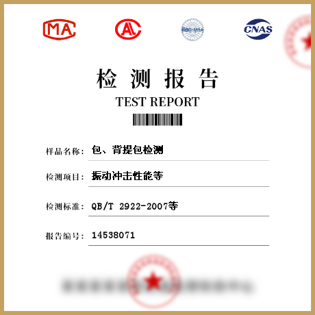 包、背提包檢測(cè)